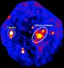 CALVERA EXPLODED WHERE IT SHOULDN’T HAVE: A “RUNAWAY” PULSAR DEFIES THE RULES OF THE MILKY WAY