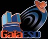 The final catalogue of the Gaia-ESO Survey is public