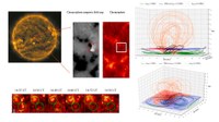 Magnetic tornadoes in the Sun’s atmosphere