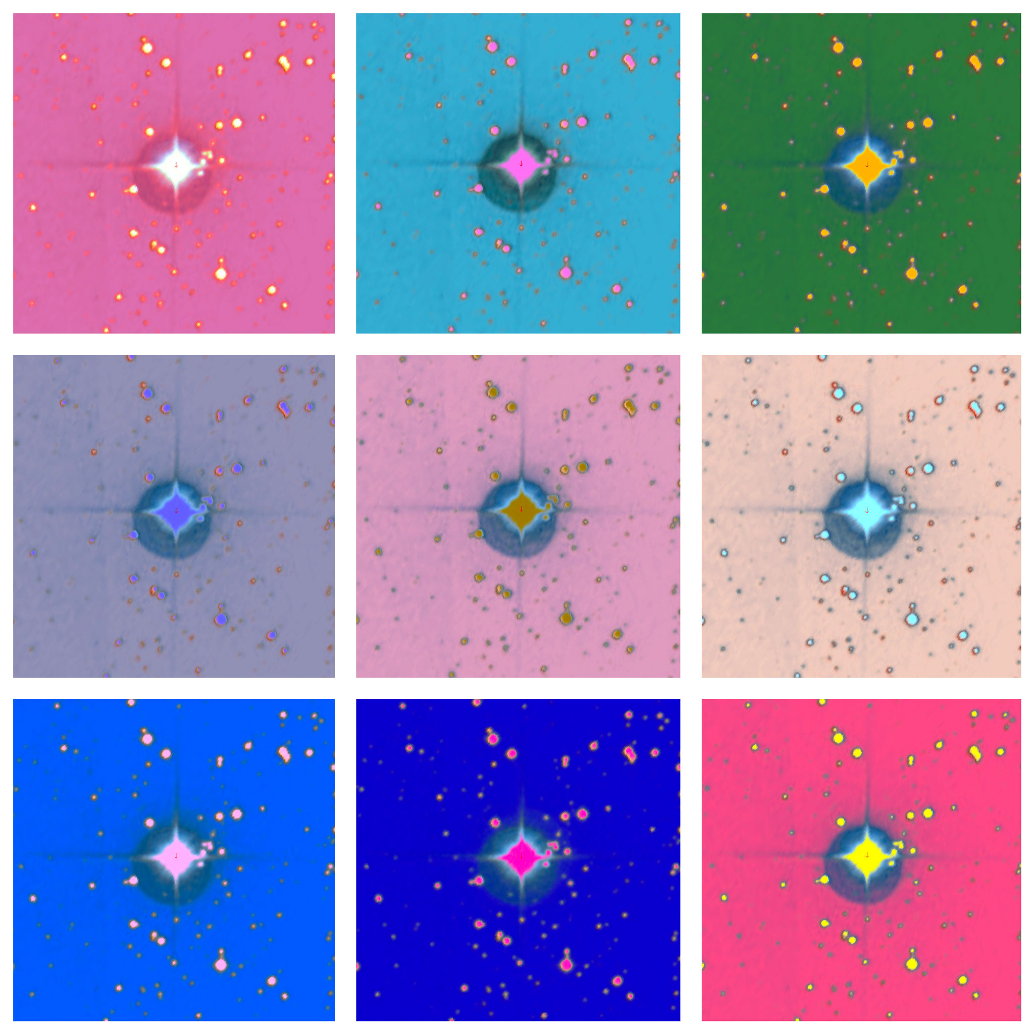 RR Lyrae variables as beacons to investigate the early formation of the Milky Way 