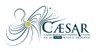 L'ASI ospita il congresso del progetto CAESAR
